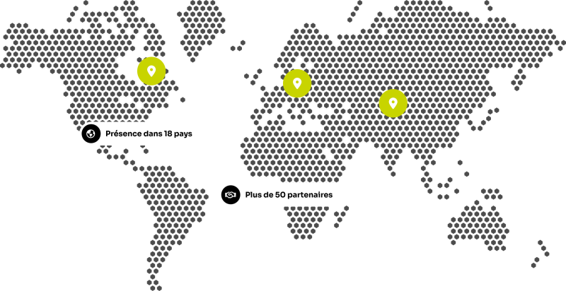 Carte des partenaires HEIN - Présence dans 18 pays, plus de 50 partenaires