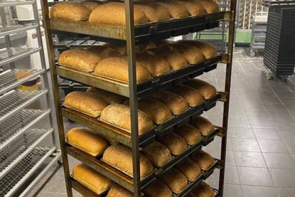 Pain en cuisson dans le four THERMO HEIN