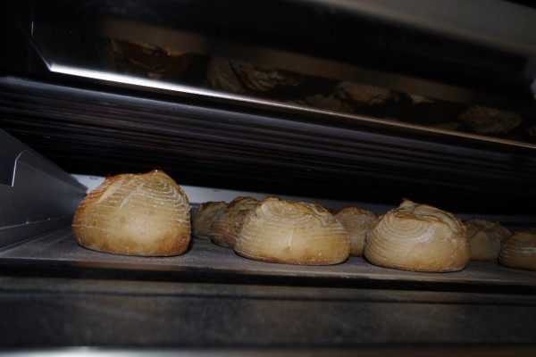 WOODSTONE PLUS - Pain en cuisson avec tubes annulaires visibles
